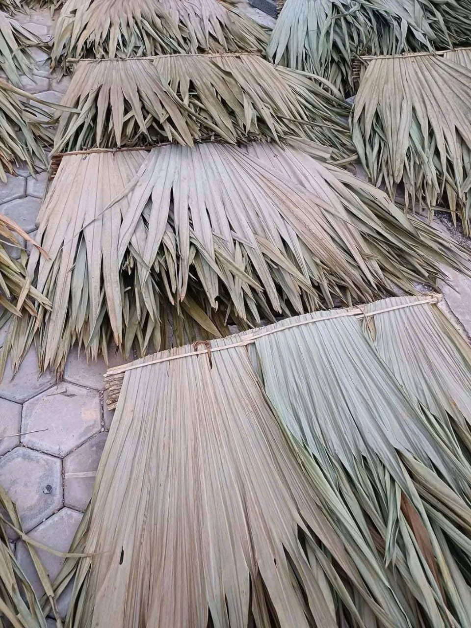 Vận chuyển tre